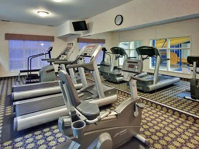 Holiday Inn Hotel & Suites Edmonton Airport & Conference Ctr By Ihg Nisku 3*,